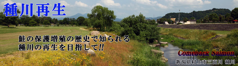種川再生 文化的景観